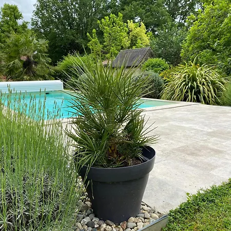 Autour D'une Histoire Pensión